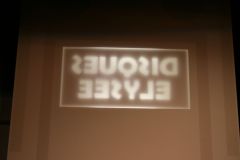2009_die_kaktusbluete_-_1127
