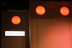 2009_die_kaktusbluete_-_1131